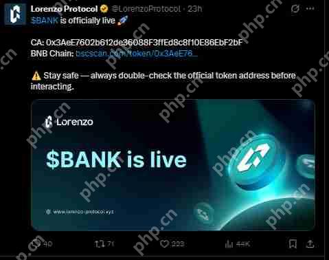 Lorenzo Protocol 的 BANK 暴涨后将如何发展？是反弹还是回调？